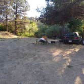 Review photo of Painted Hills Dispersed by Laura M., July 27, 2023