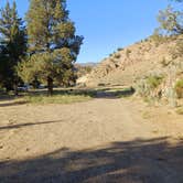 Review photo of Painted Hills Dispersed by Laura M., July 27, 2023