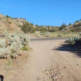 Review photo of Painted Hills Dispersed by Laura M., July 27, 2023