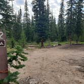 Review photo of Long Draw Road Campsites by Anne M., July 27, 2023