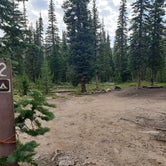 Review photo of Long Draw Road Campsites by Anne M., July 27, 2023