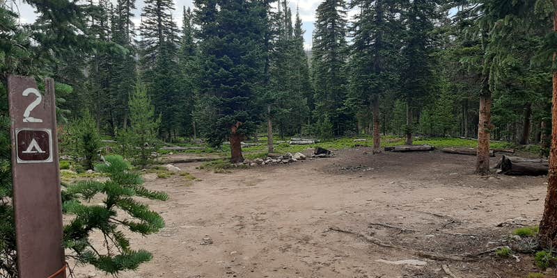 Camper submitted image from Long Draw Road Campsites