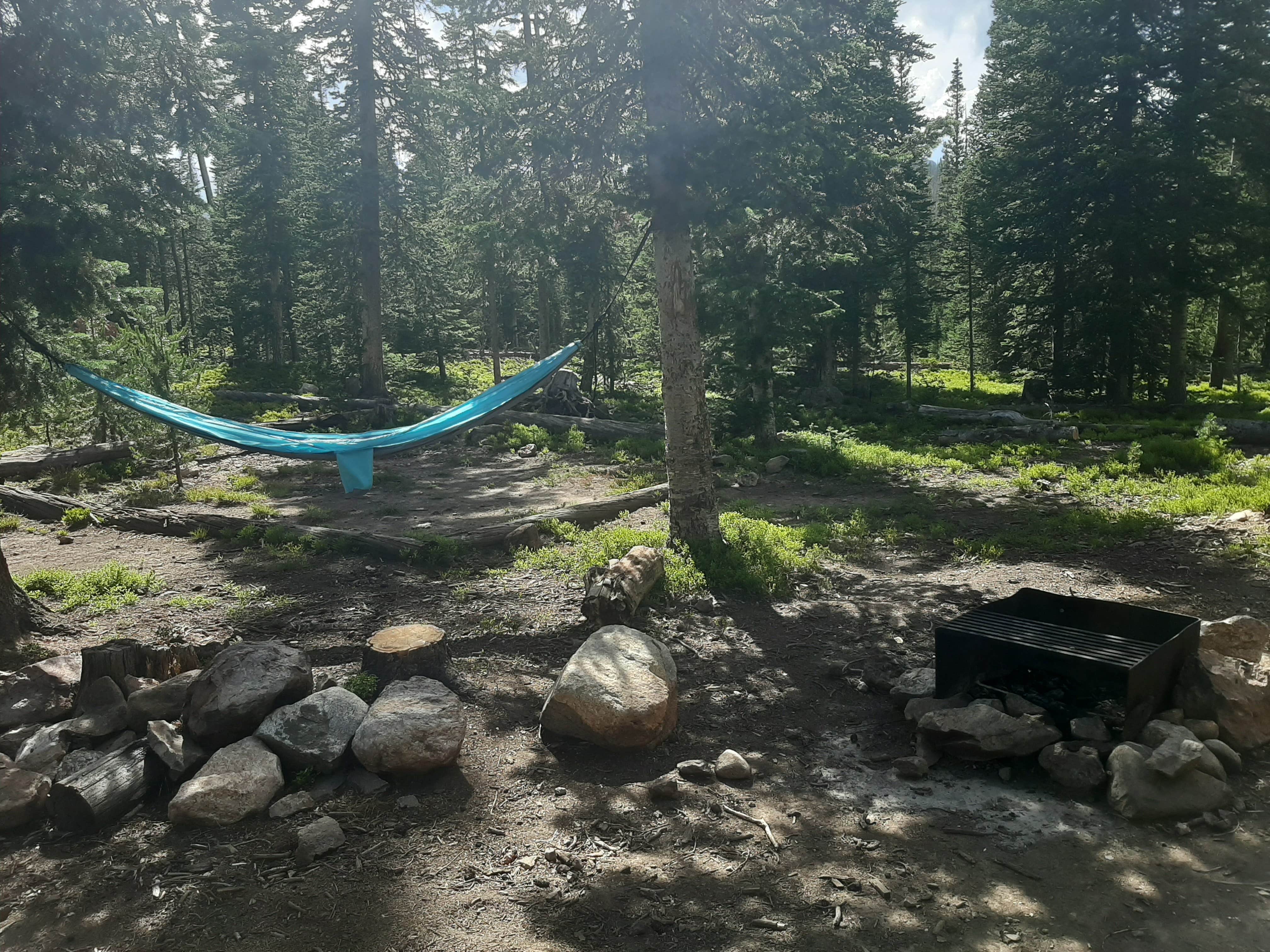 Camper-submitted photo at Long Draw Road Campsites near Gould, CO