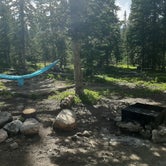Review photo of Long Draw Road Campsites by Anne M., July 27, 2023