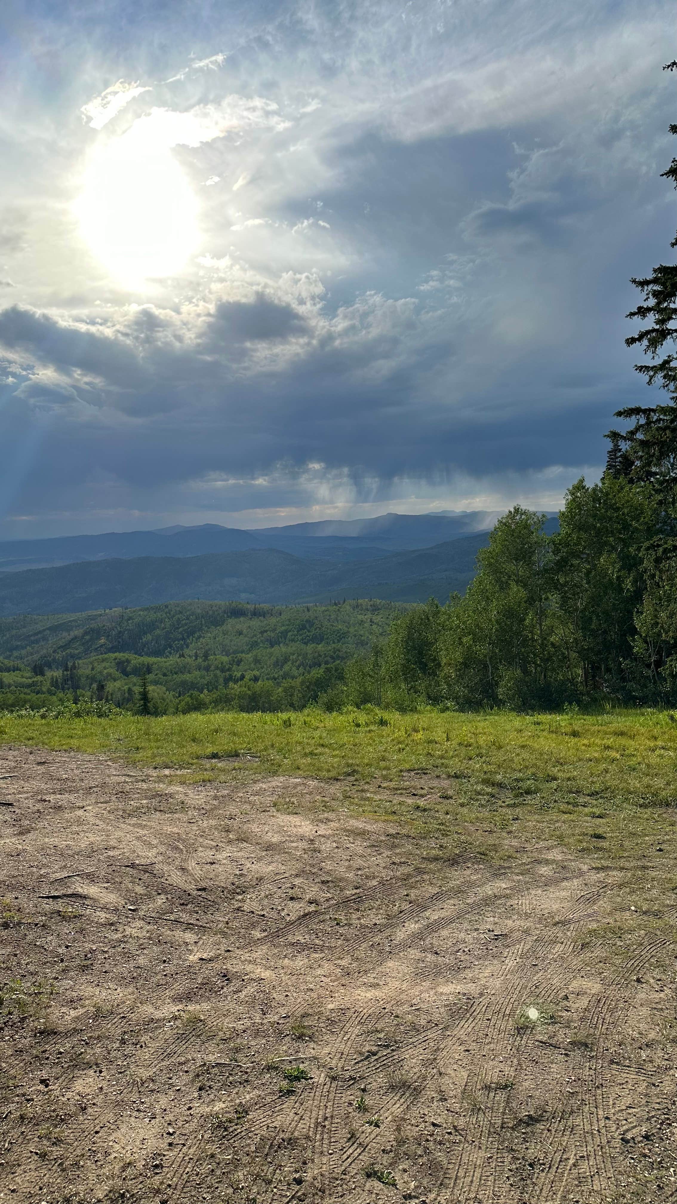 lauren L.'s photo of a dispersed camping area at Buffalo Pass Dispersed near Craig, CO