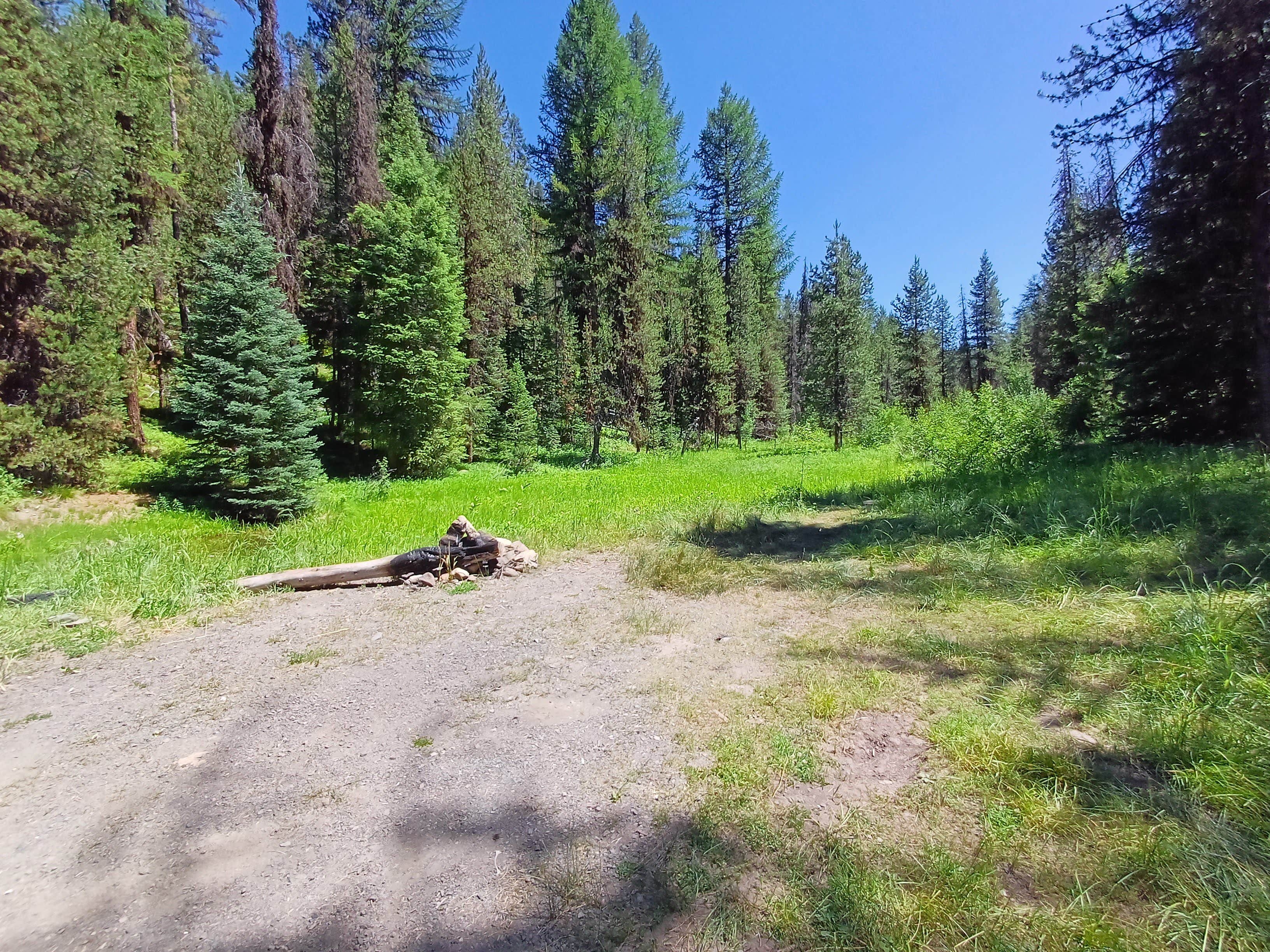 Camper-submitted photo at Lunch Creek near Seneca, OR