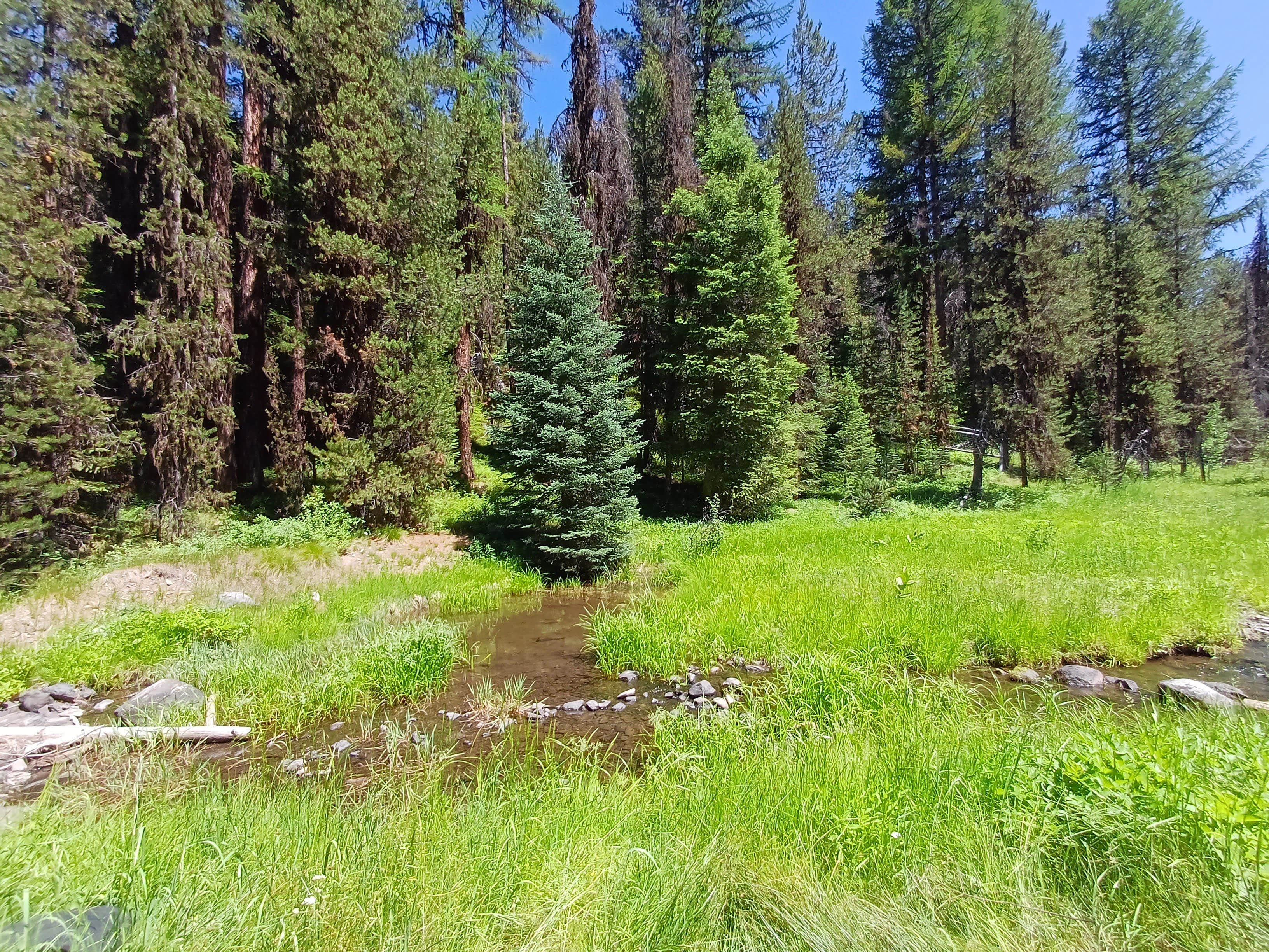Camping near South Fork: Lunch Creek, Prairie City, Oregon