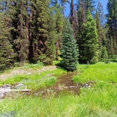 Review photo of Lunch Creek by Laura M., July 27, 2023