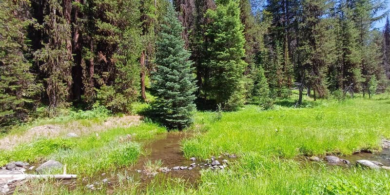 Camper submitted image from Lunch Creek