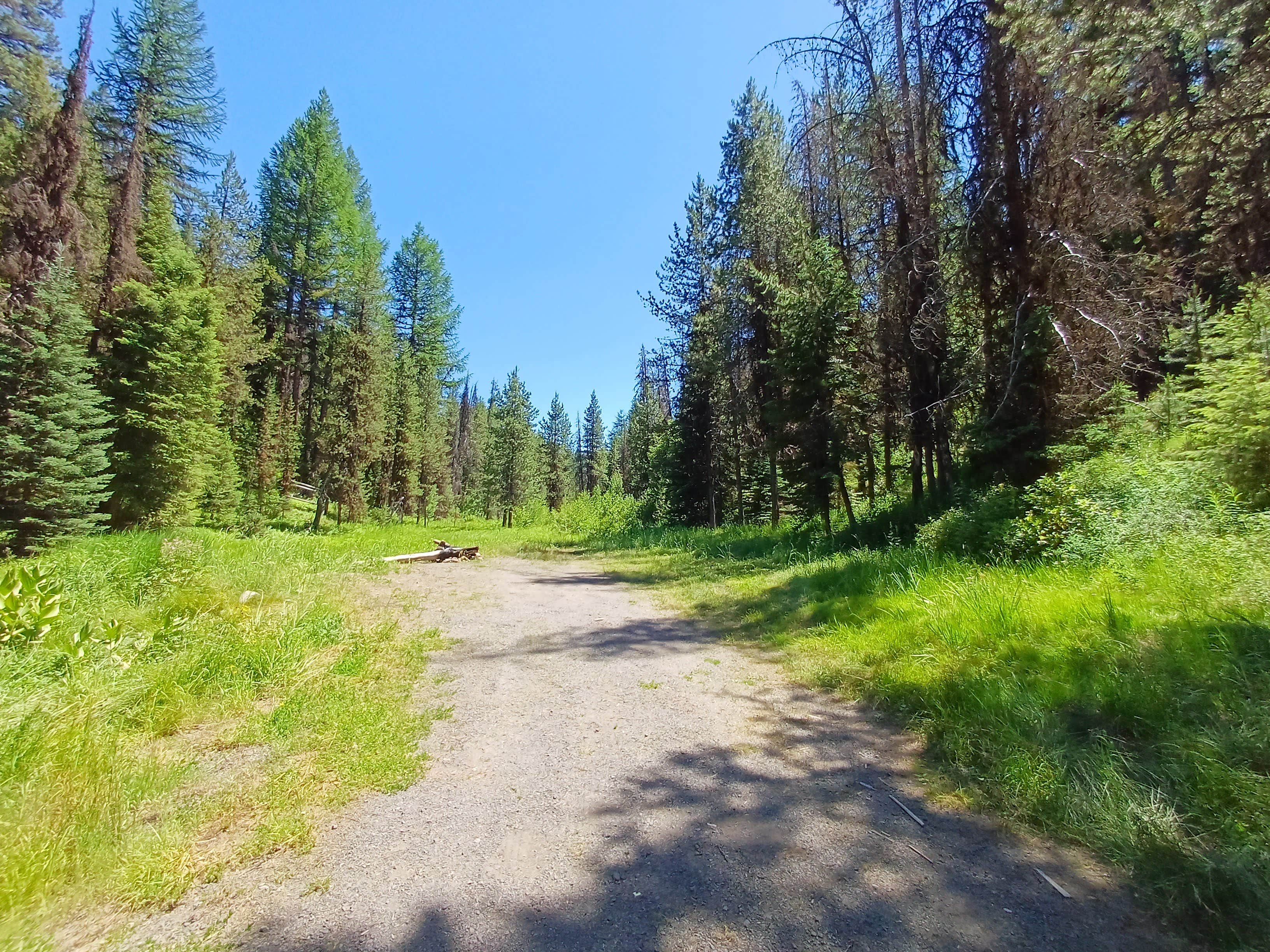 Camper-submitted photo at Lunch Creek near Seneca, OR