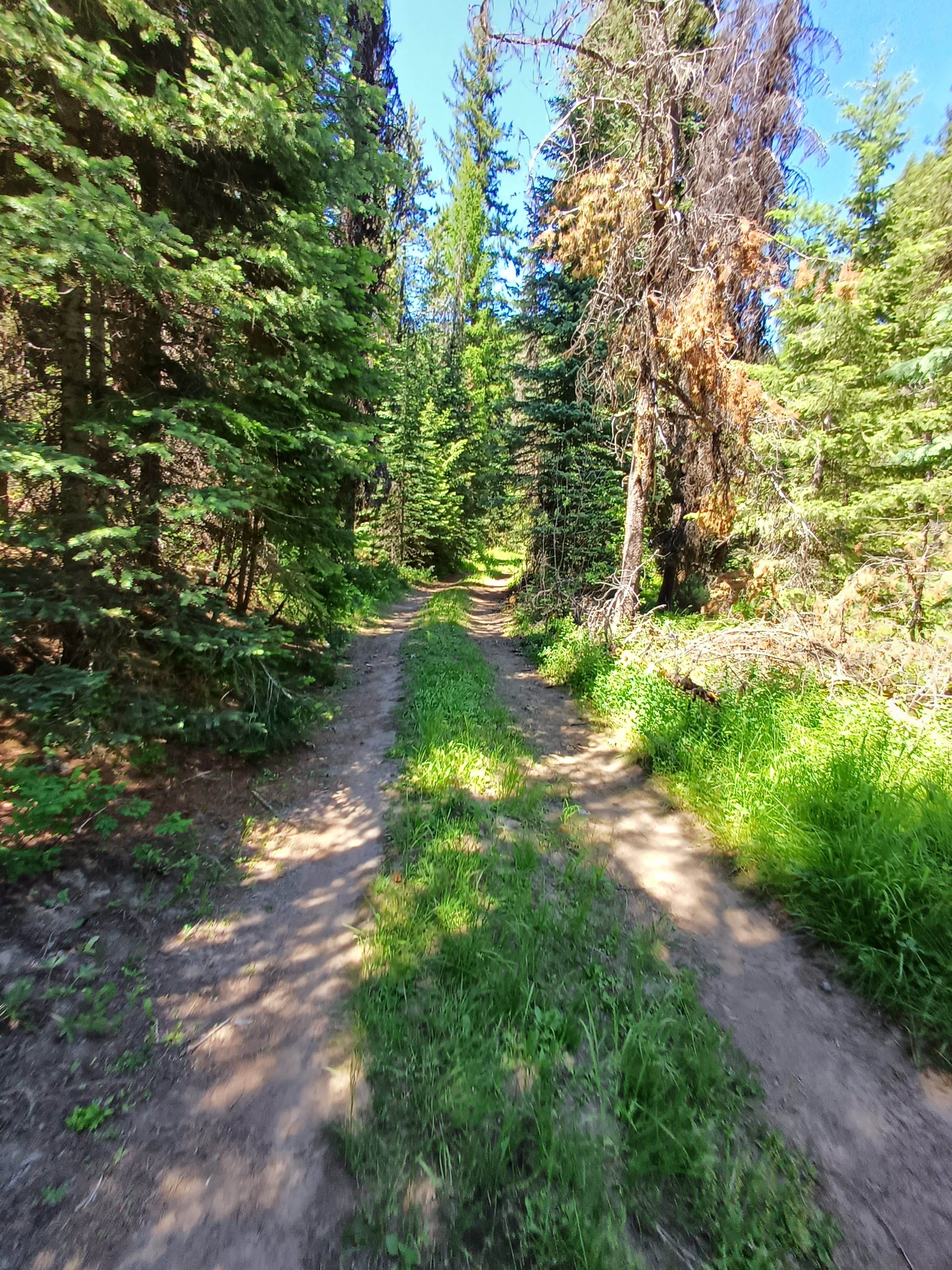 Camper-submitted photo at Lunch Creek near Seneca, OR