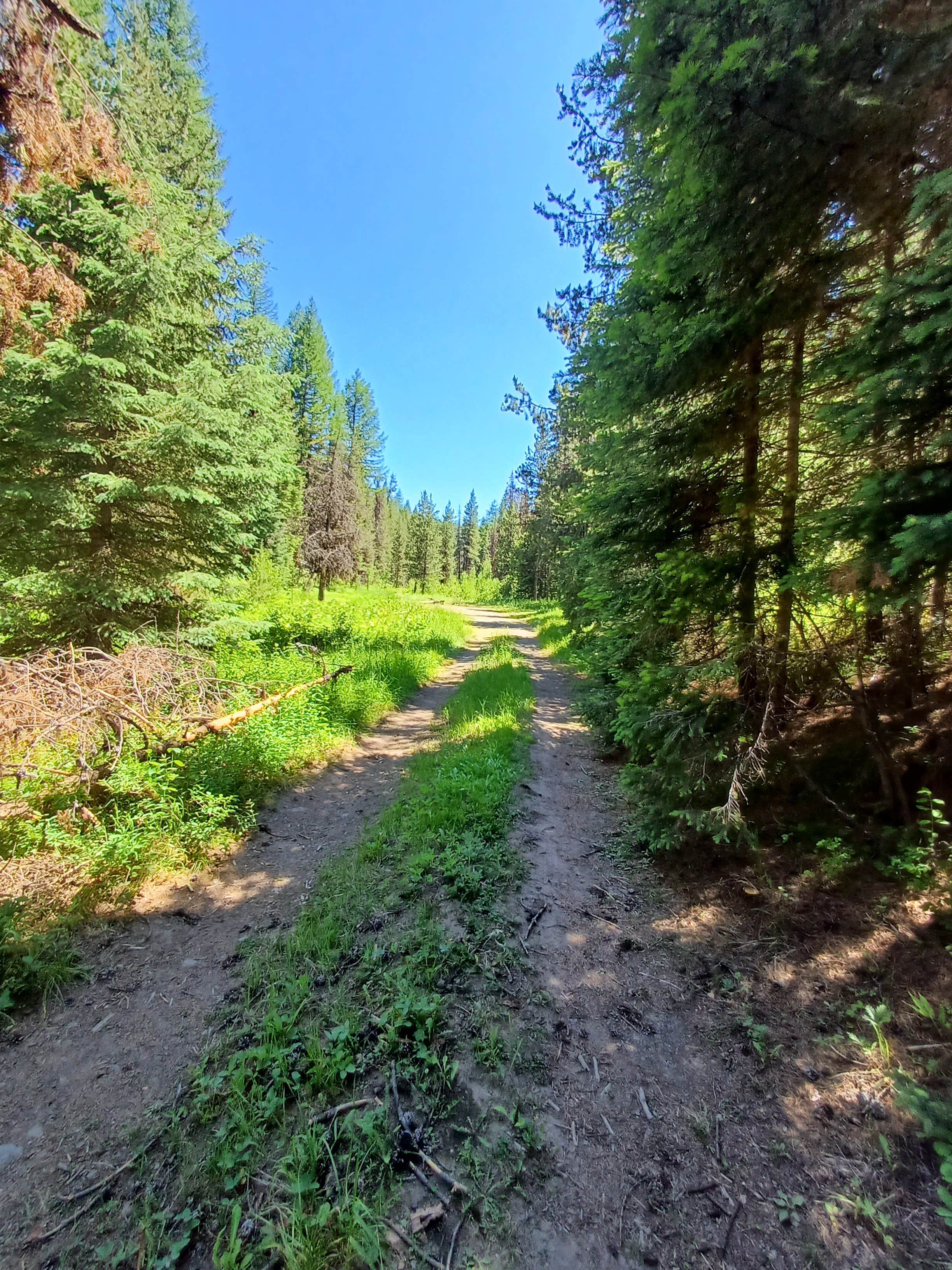 Camper-submitted photo at Lunch Creek near Seneca, OR