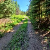 Review photo of Lunch Creek by Laura M., July 27, 2023