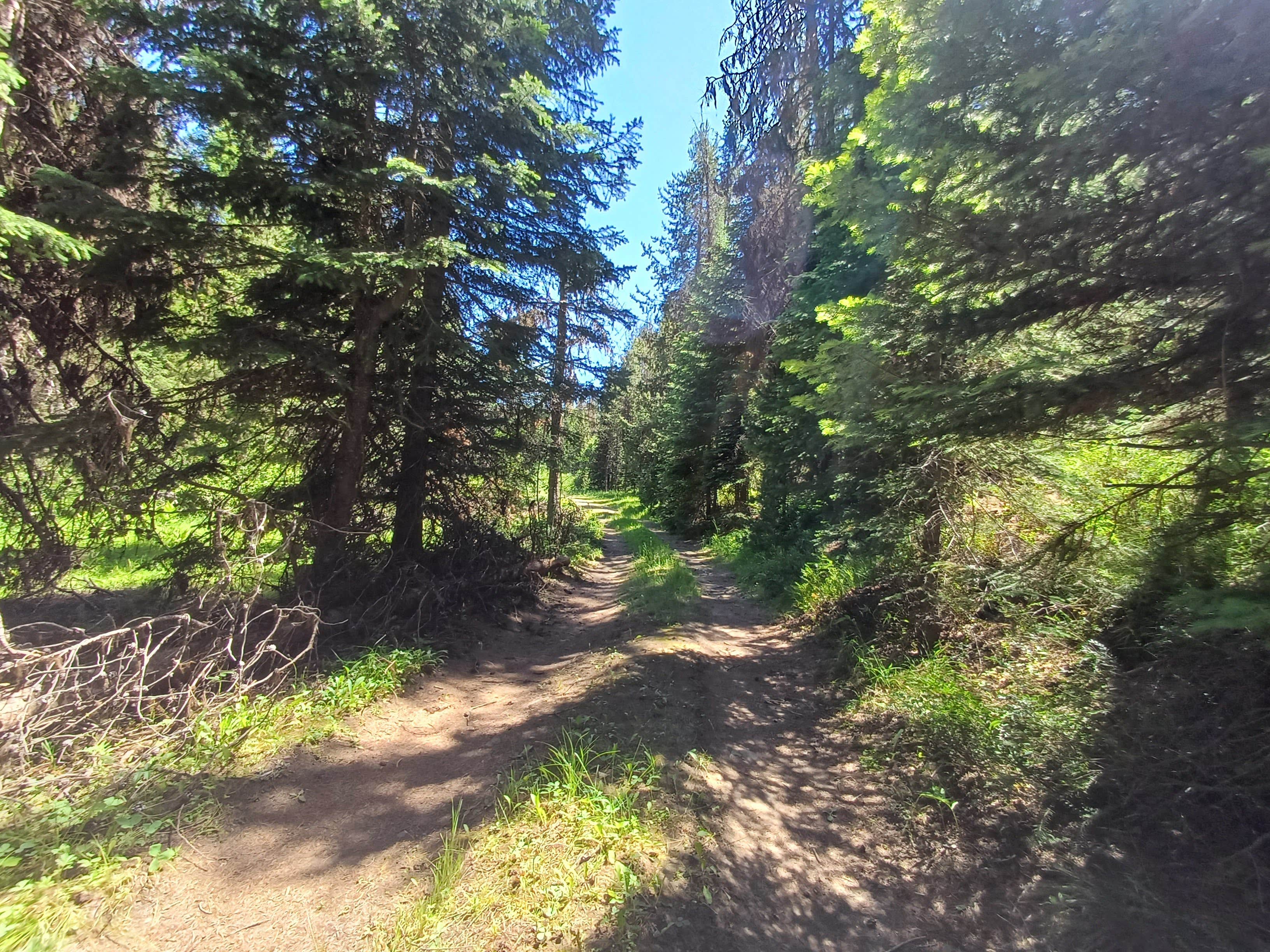 Camper-submitted photo at Lunch Creek near Seneca, OR