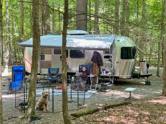 John H.'s photo of camping with pets at Greenbrier State Forest near George Washington & Jefferson National Forest