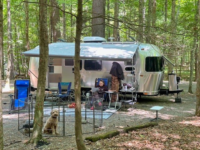 Camper submitted image from Greenbrier State Forest - 5