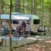 Review photo of Greenbrier State Forest by John H., July 27, 2023