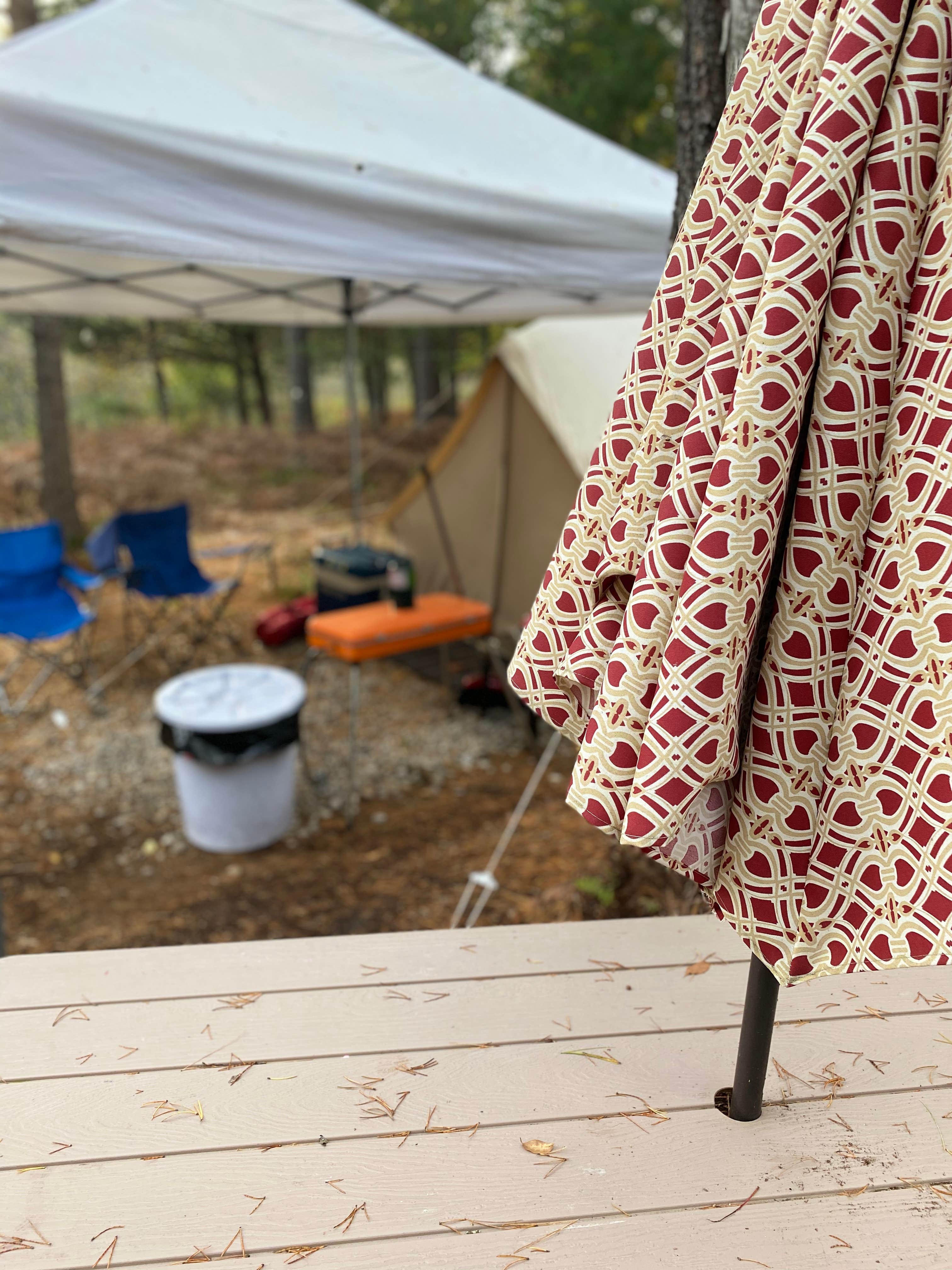 Aimee B.'s photo at C&A Adventure near Lake City, MI