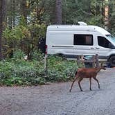 Review photo of Oxbow Regional Park by Berton M., July 27, 2023