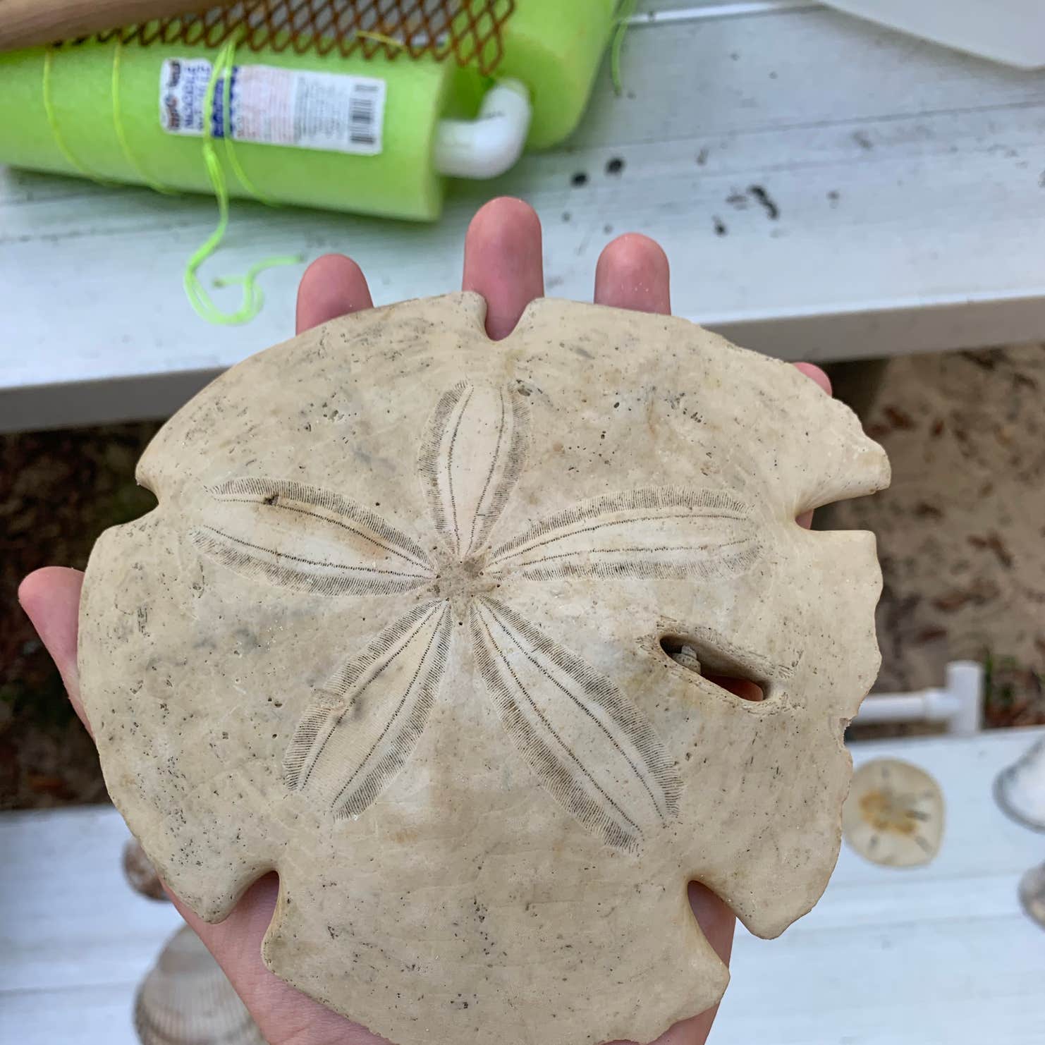 Pelican Nest RV Resort & Campground Dauphin Island, AL