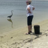 Review photo of Pelican Nest RV Resort & Campground by jay C., July 27, 2023