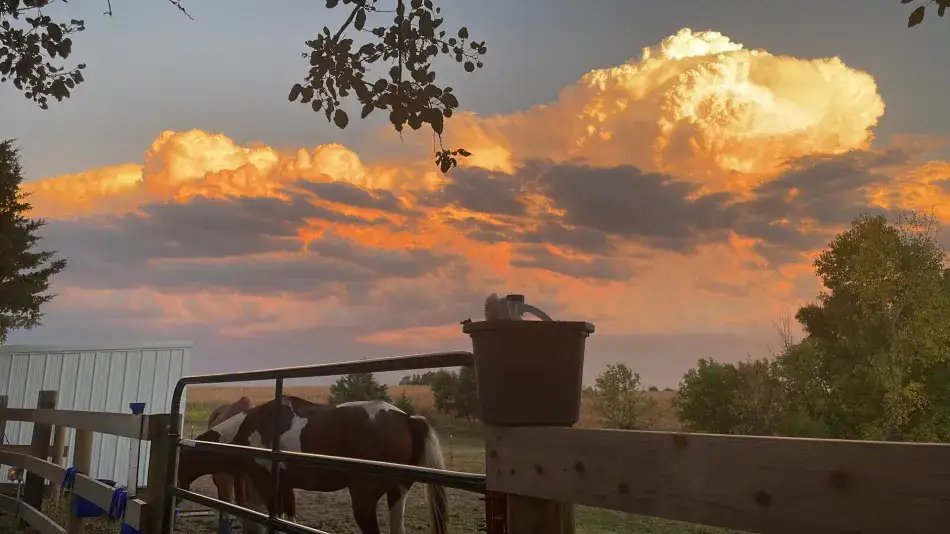 Camper-submitted photo at Rusty Nickel Ranch RV near Belleville, KS