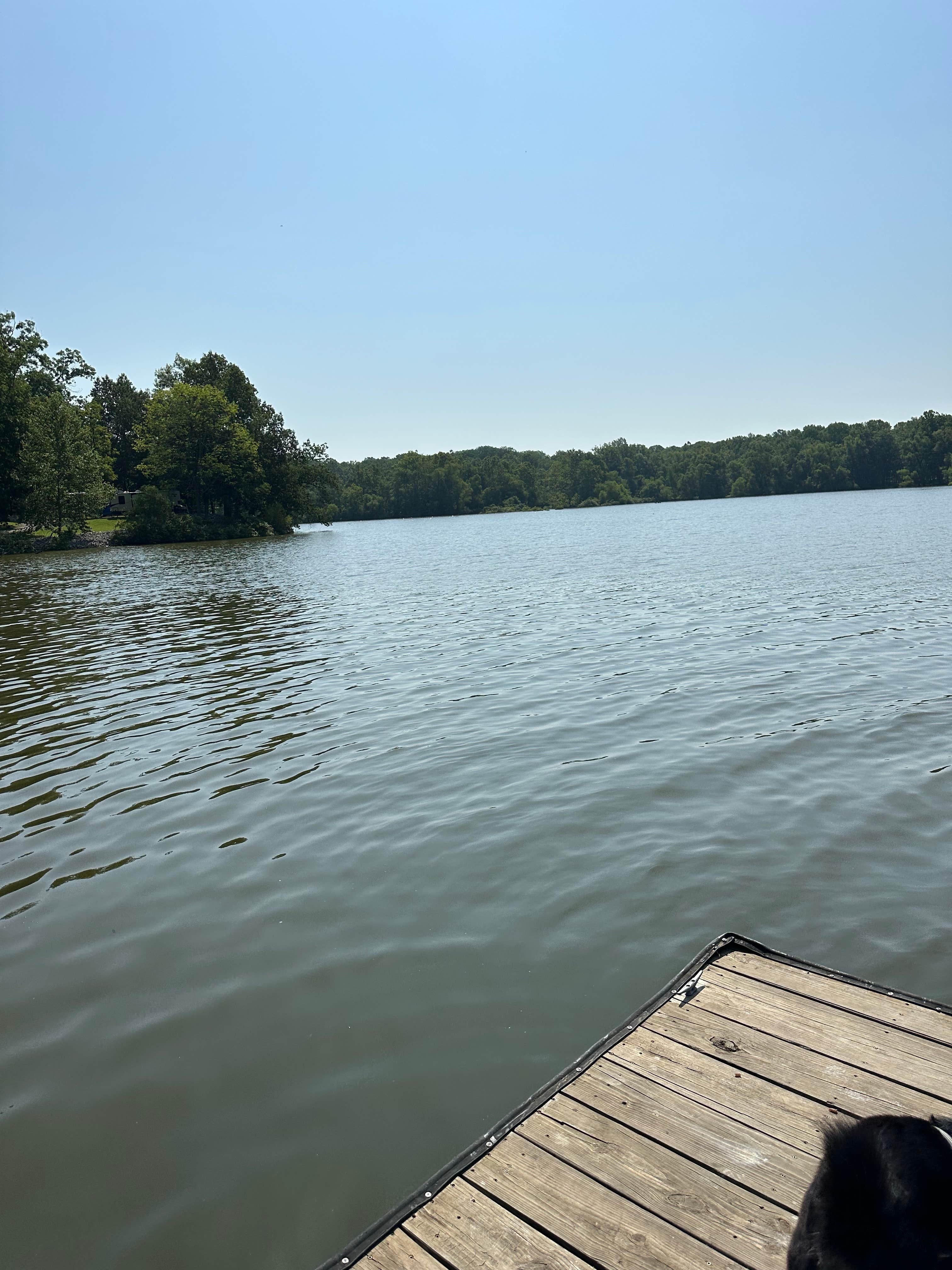 Pam & Steve S.'s photo of camping with pets at Hurricane Creek near Cerulean, KY