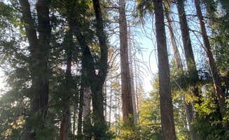 miranda's photo at Hardin Flat Road near Eastman Lake