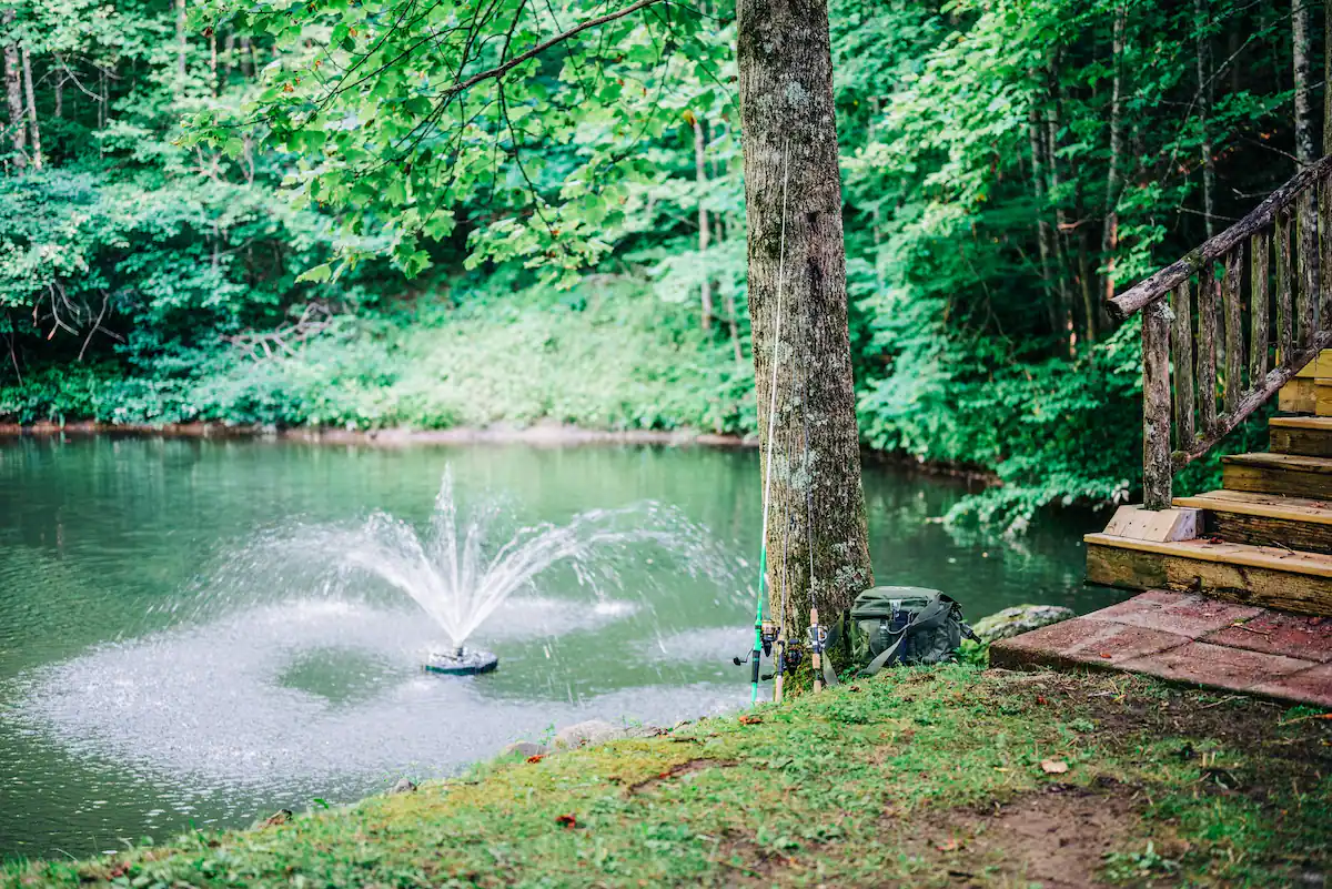 Camper-submitted photo at Safe Haven Farm RV Camping and Events near Erwin, TN