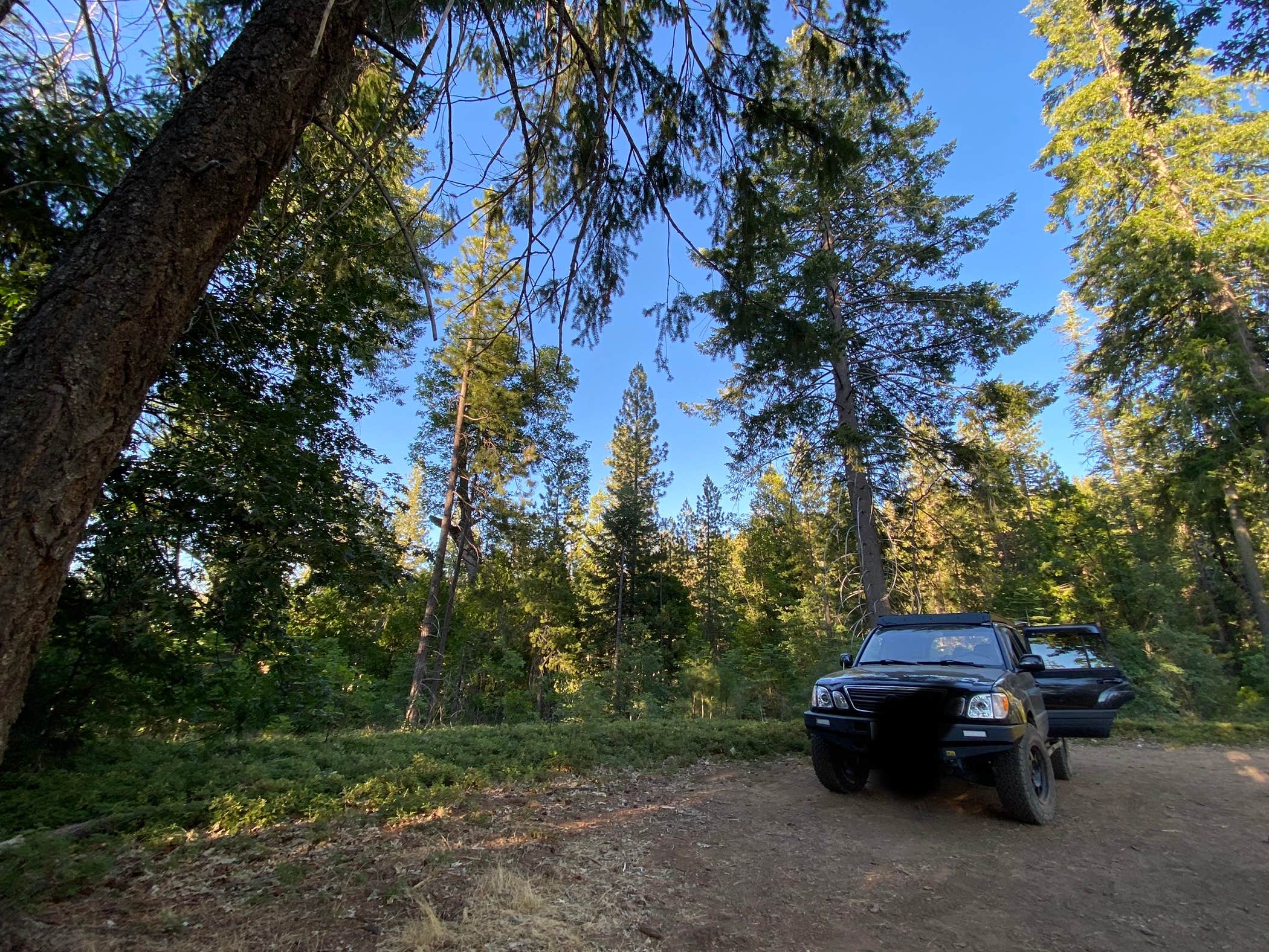 Camper submitted image from Hardin Flat Road - 4