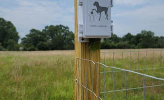 Country's photo of camping with pets at Country Meadow Estates RV Park near Brookeland, TX