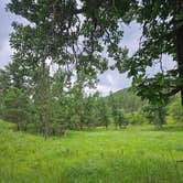 Review photo of Dispersed Camping near Calumet Road by Wayne L., July 27, 2023