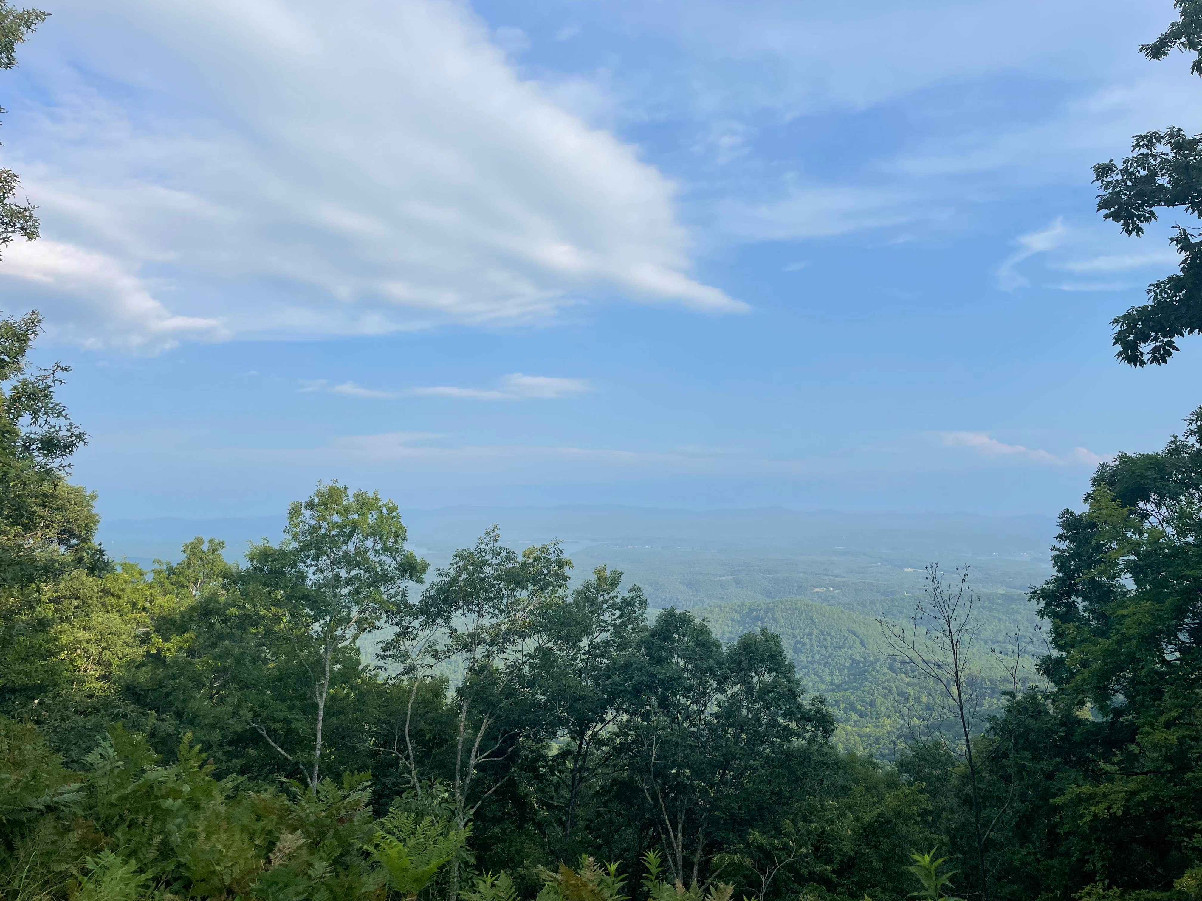 David P.'s photo of a dispersed camping area at Old NC 105 - Dispersed Camping near Limestone, TN