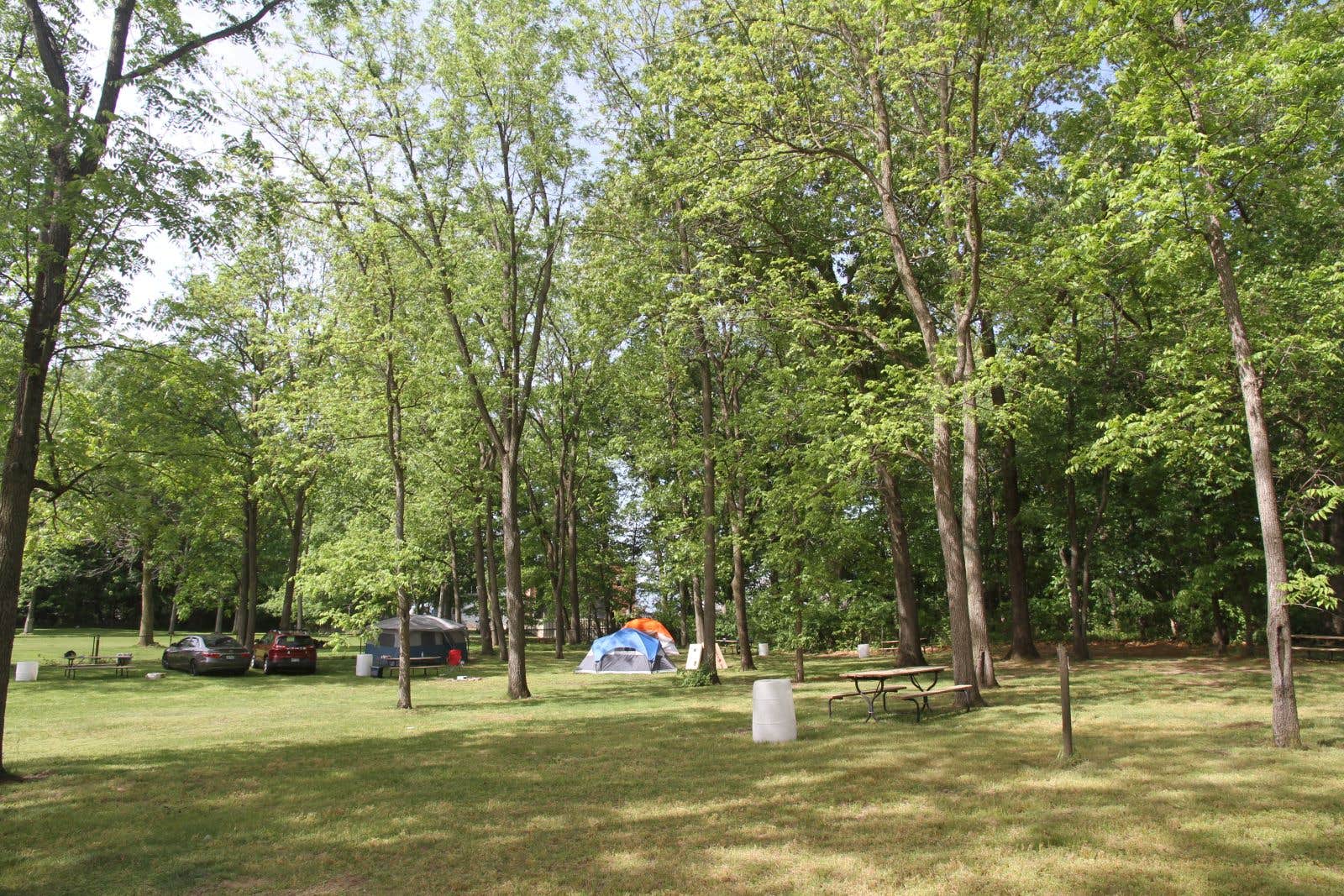 Ann-Marie I.'s photo at Lost Pines Resort and Campground near Culver, IN