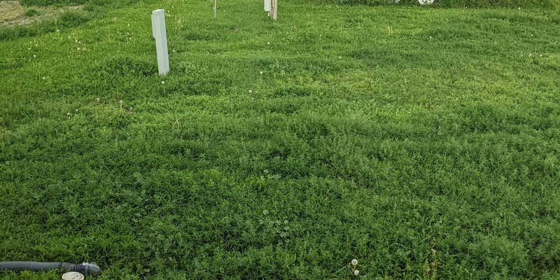 Camper submitted image from Washburn City Park