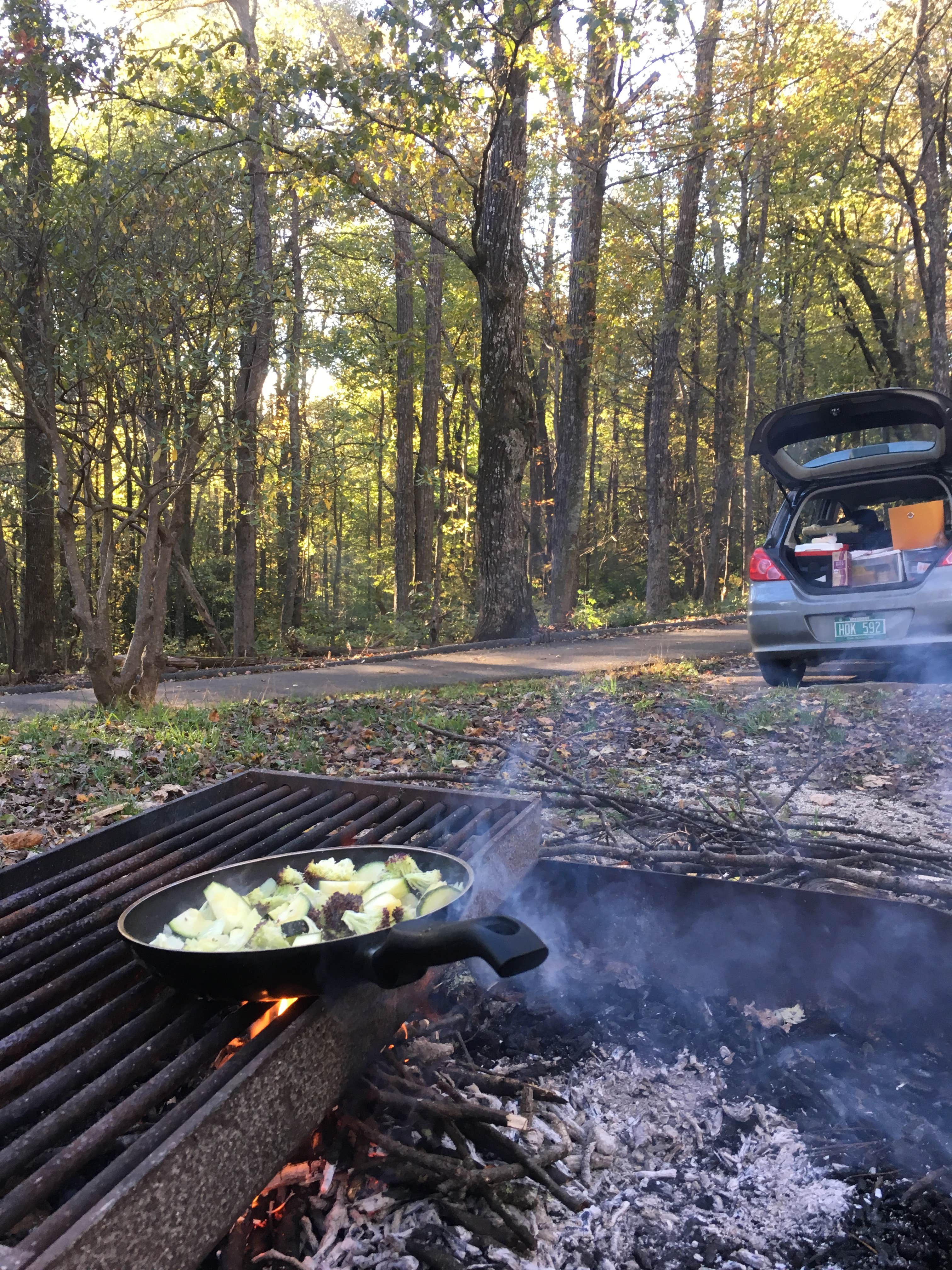 Camper-submitted photo at Crabtree Falls Campground — Blue Ridge Parkway near Burnsville, NC
