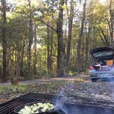 Review photo of Crabtree Falls Campground — Blue Ridge Parkway by Kelsey M., October 25, 2018