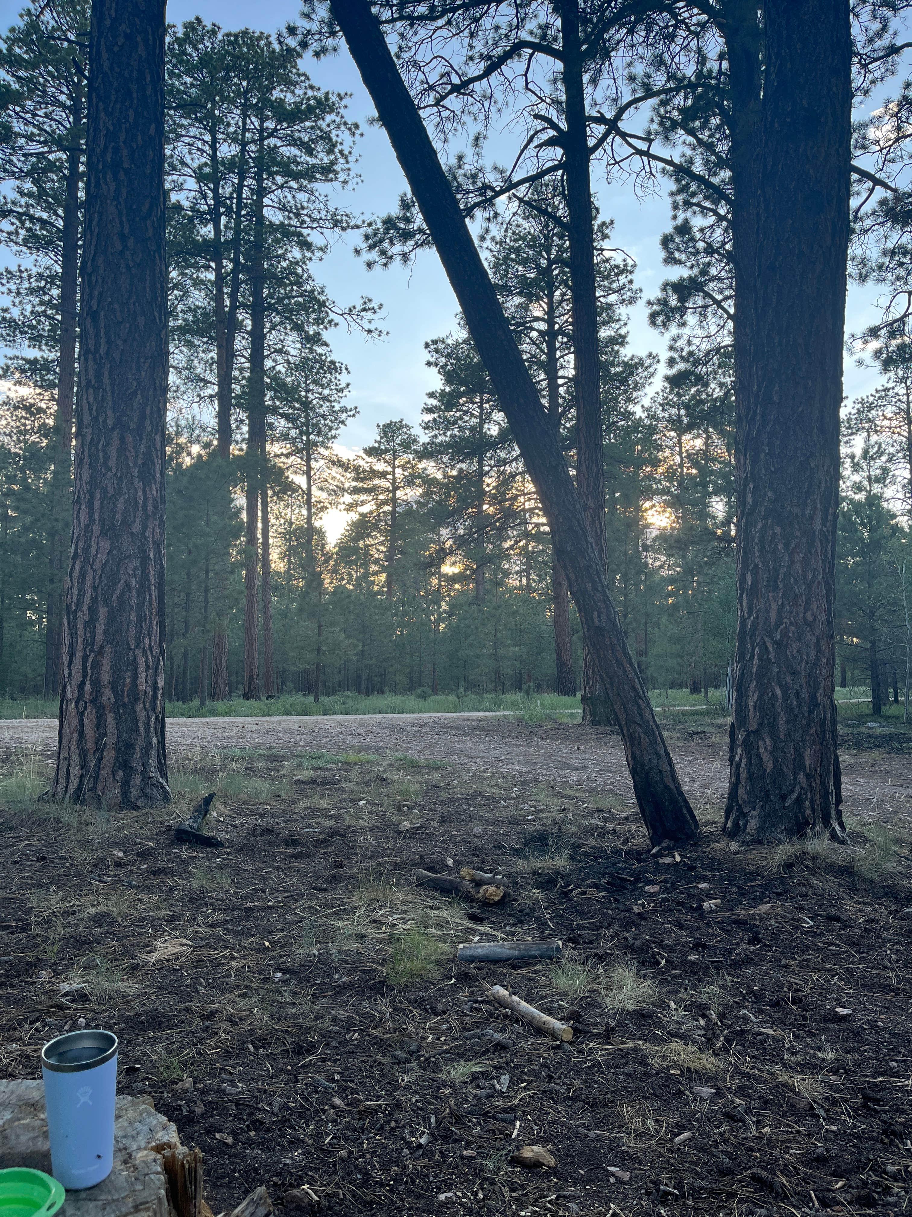 Camping near Jacob Lake Campground - Kaibab National Forest: Forest Service Road #200 Dispersed Camping, Jacob Lake, Arizona