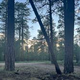 Review photo of Forest Service Road #200 Dispersed Camping by Shannon C., July 28, 2023