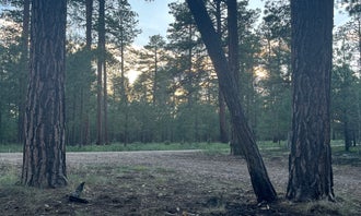 Camping near Kaibab Camper Village: Forest Service Road #200 Dispersed Camping, Jacob Lake, Arizona