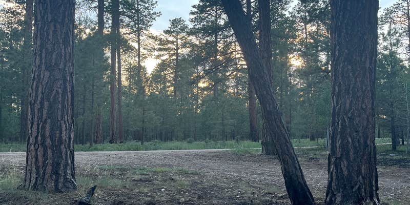 Camper submitted image from Forest Service Road #200 Dispersed Camping
