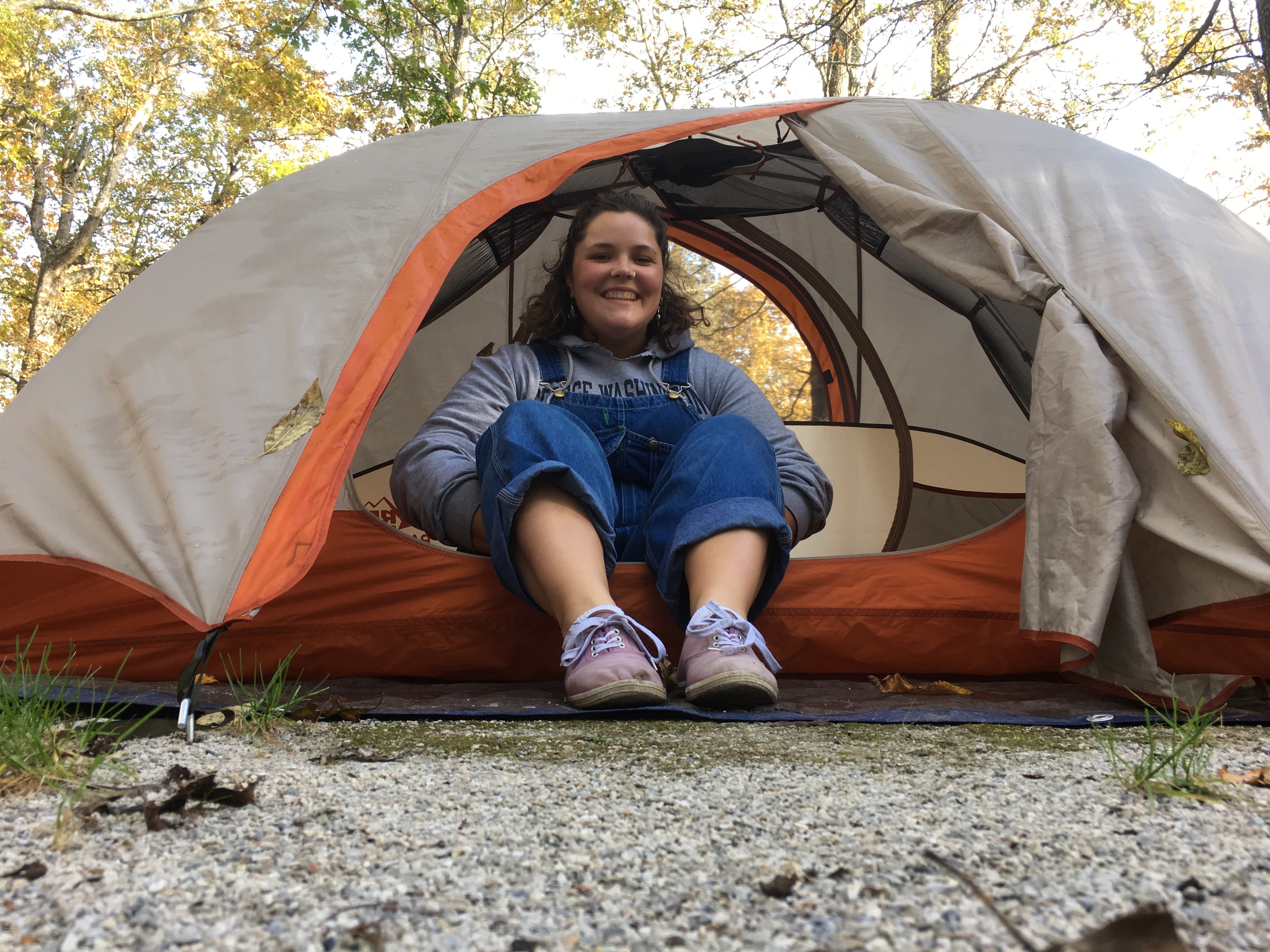 Camper submitted image from Crabtree Falls Campground — Blue Ridge Parkway - 5