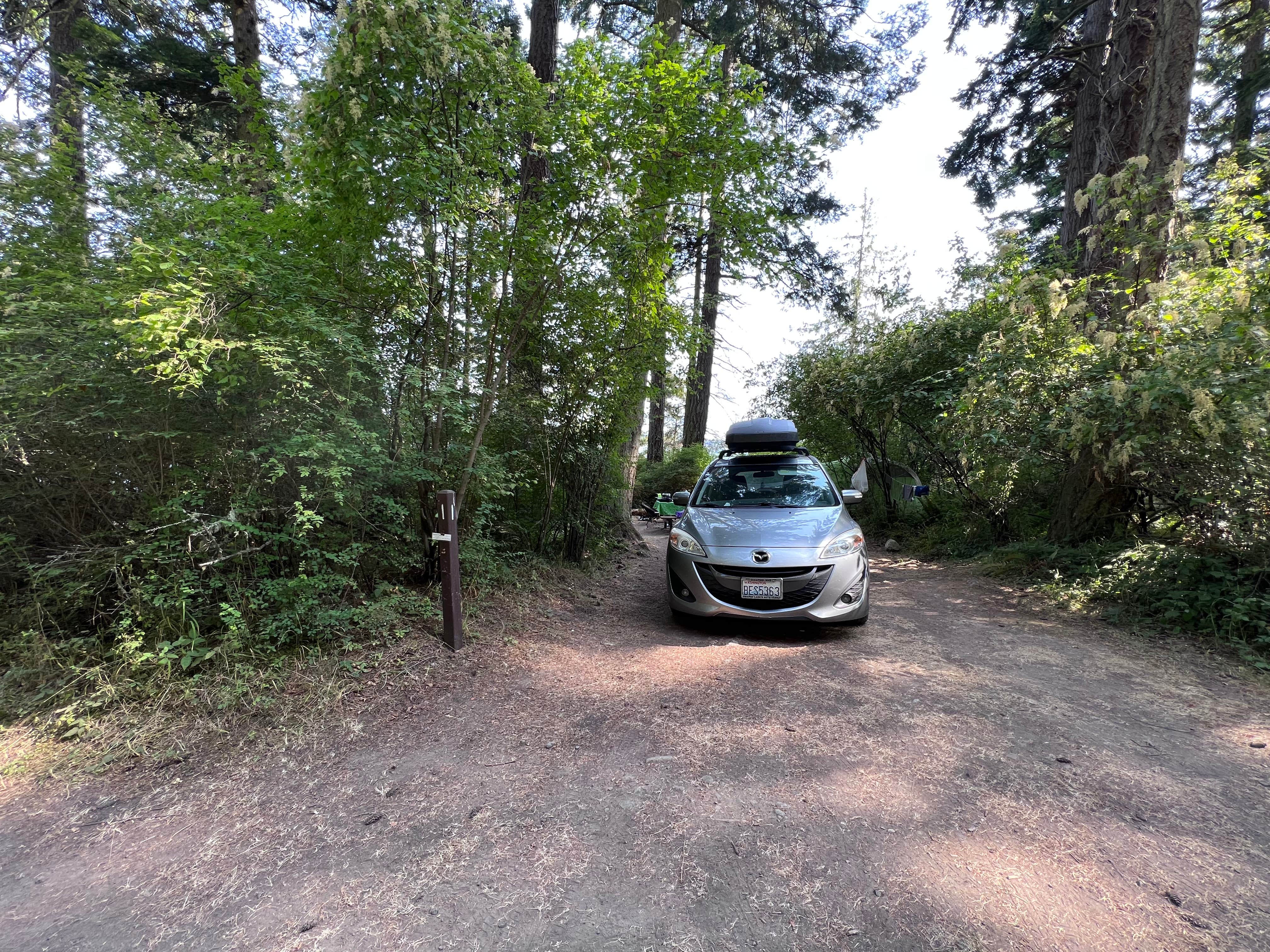 Camper submitted image from Shaw Island County Park - 3