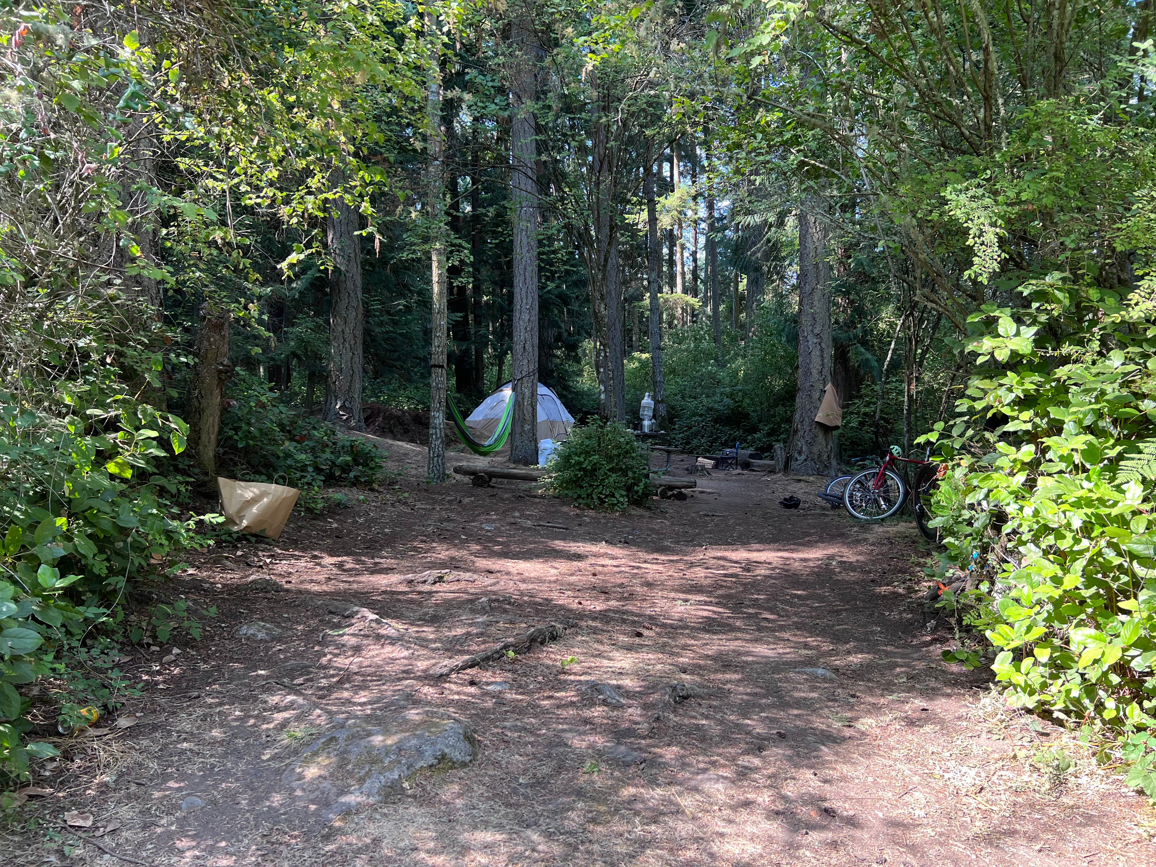 Christina V.'s photo of tent camping at Shaw Island County Park near Oak Harbor, WA