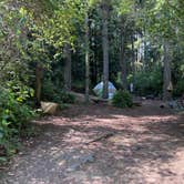 Review photo of Shaw Island County Park by Christina V., July 28, 2023