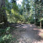 Review photo of Shaw Island County Park by Christina V., July 28, 2023