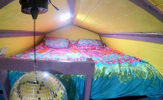 Alyssa C.'s photo of glamping accommodations at Homosassa Hippie Hut near Homosassa, FL