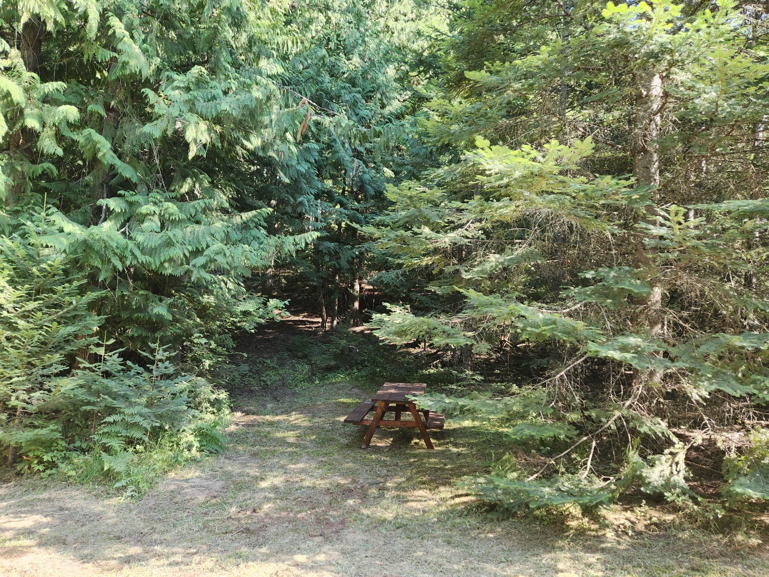 Camper-submitted photo at Extraordinary Camping 🏕 near Spokane, WA