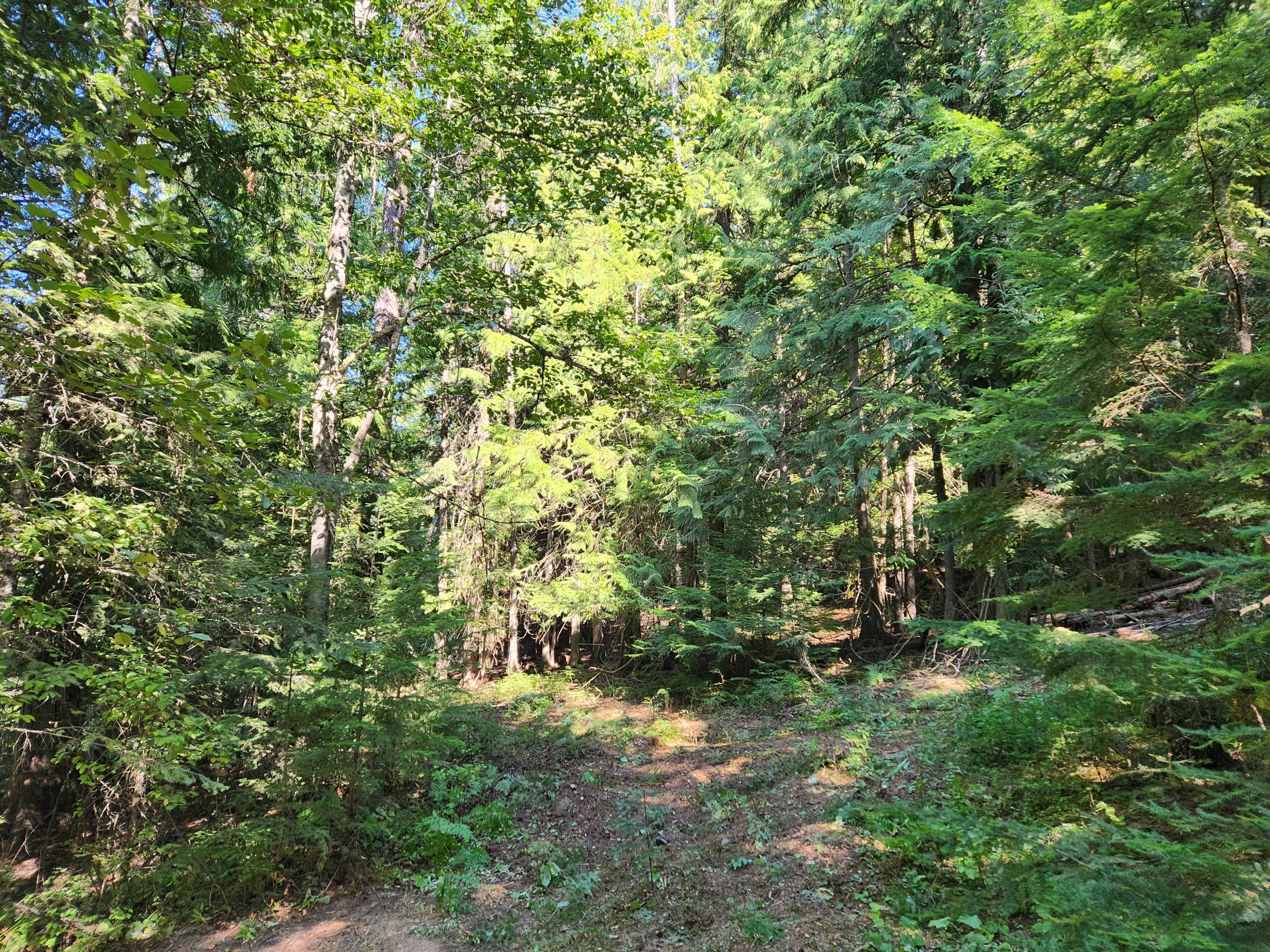 Camper-submitted photo at Extraordinary Camping 🏕 near Spokane, WA