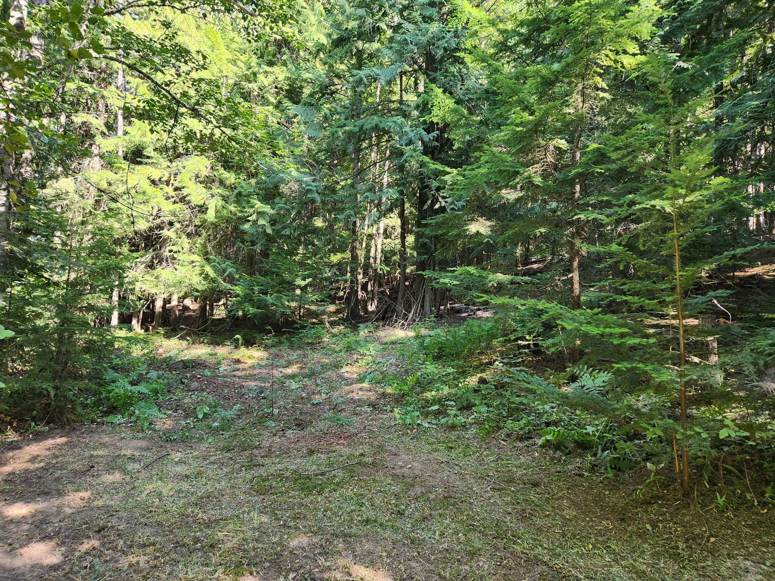 Extraordinary Camping 🏕